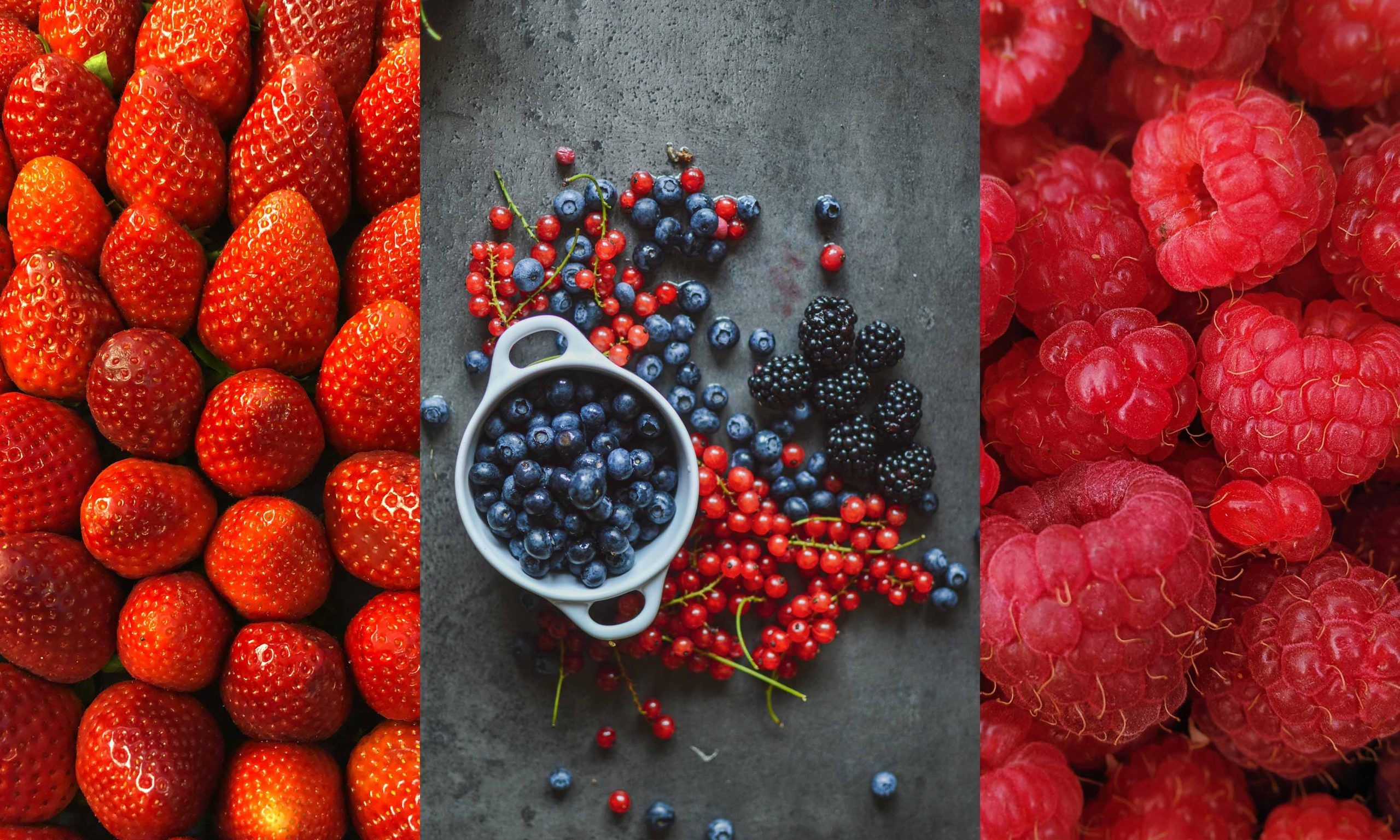 Caption – Lorem ipsum dolor sit amet, consetetur sadipscing elitr.